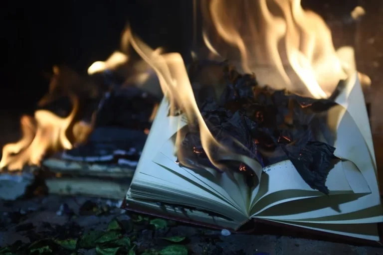 Why Did Montag Burn the Book of Poetry in the Wall Incinerator in His Home?